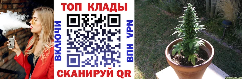 Где купить Суворов КОКАИН  A PVP  ГАШ  Каннабис  hydra маркетплейс  Меф мяу мяу  Амфетамин 