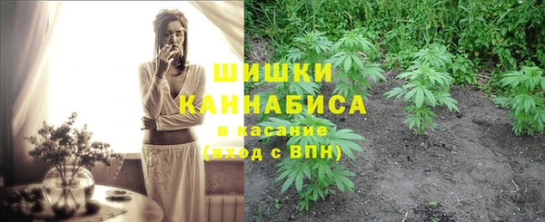 МДПВ Магас