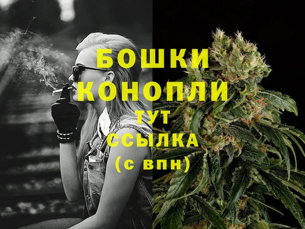 МДПВ Магас